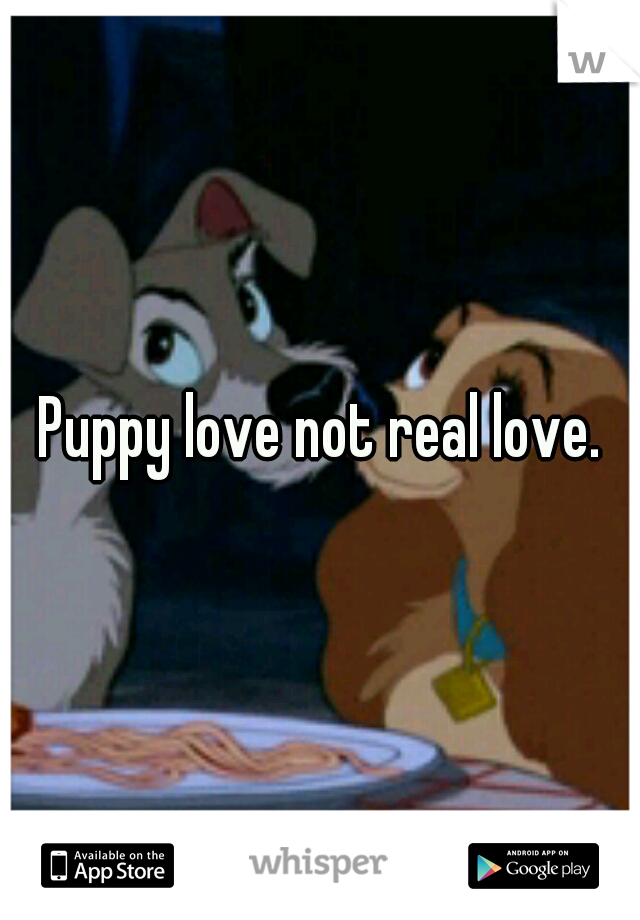 Puppy love not real love.