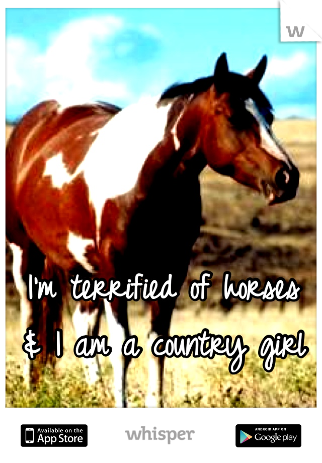 I'm terrified of horses
& I am a country girl