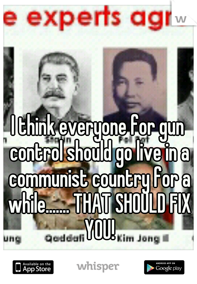 I think everyone for gun control should go live in a communist country for a while....... THAT SHOULD FIX YOU!