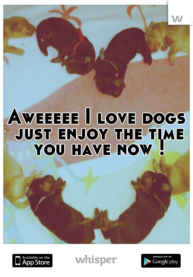 Aweeeee I love dogs just enjoy the time you have now !