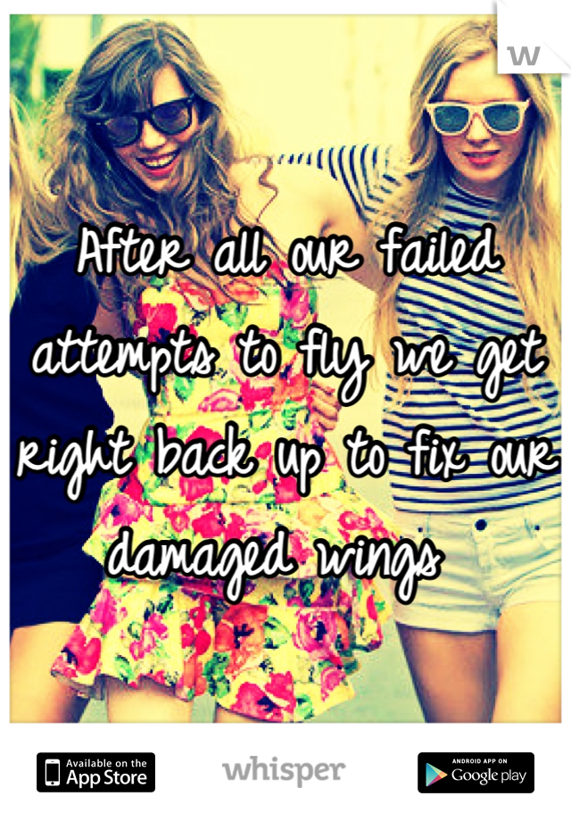 After all our failed attempts to fly we get right back up to fix our damaged wings 