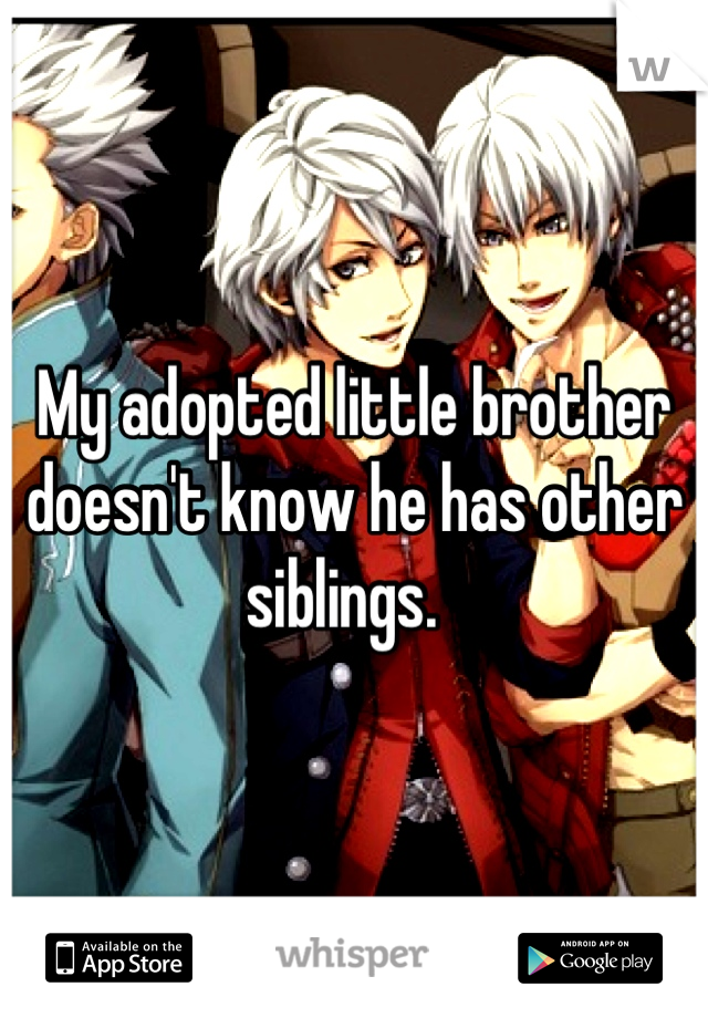 My adopted little brother doesn't know he has other siblings.  