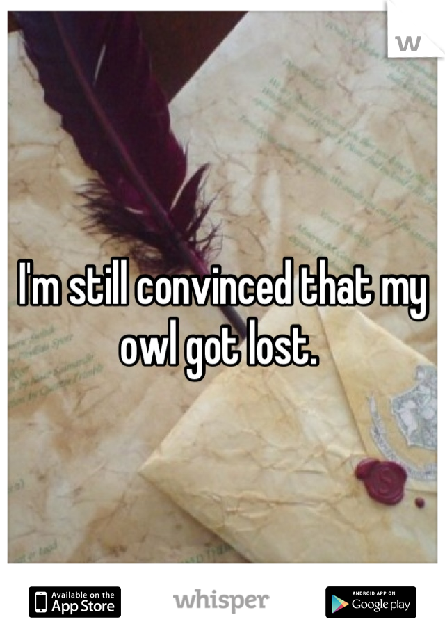 I'm still convinced that my owl got lost. 