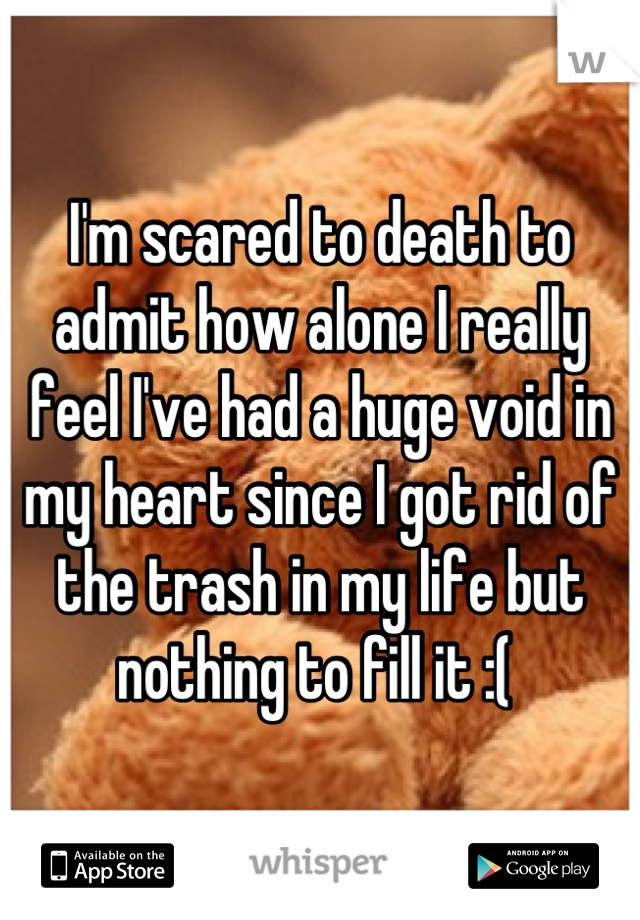 I'm scared to death to admit how alone I really feel I've had a huge void in my heart since I got rid of the trash in my life but nothing to fill it :( 