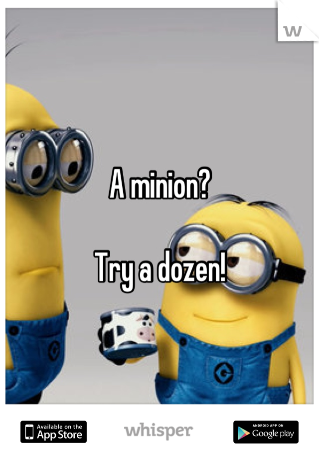 A minion?

Try a dozen!