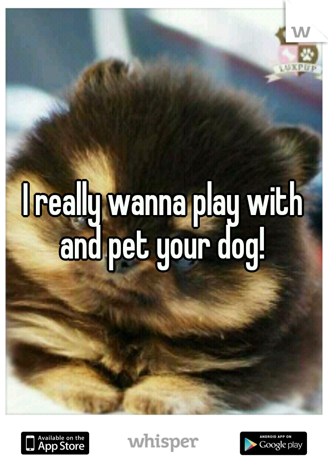 I really wanna play with and pet your dog! 