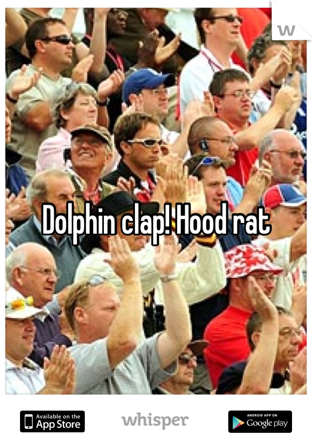 Dolphin clap! Hood rat