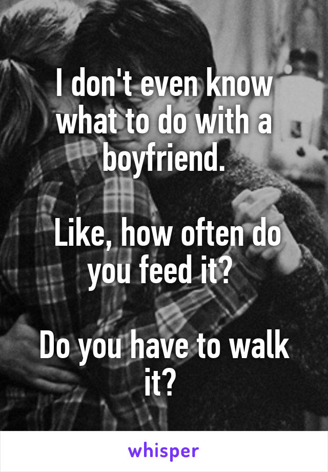 I don't even know what to do with a boyfriend.

 Like, how often do you feed it? 

Do you have to walk it? 