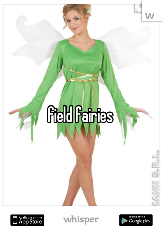field fairies 