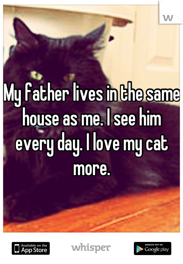 My father lives in the same house as me. I see him every day. I love my cat more.