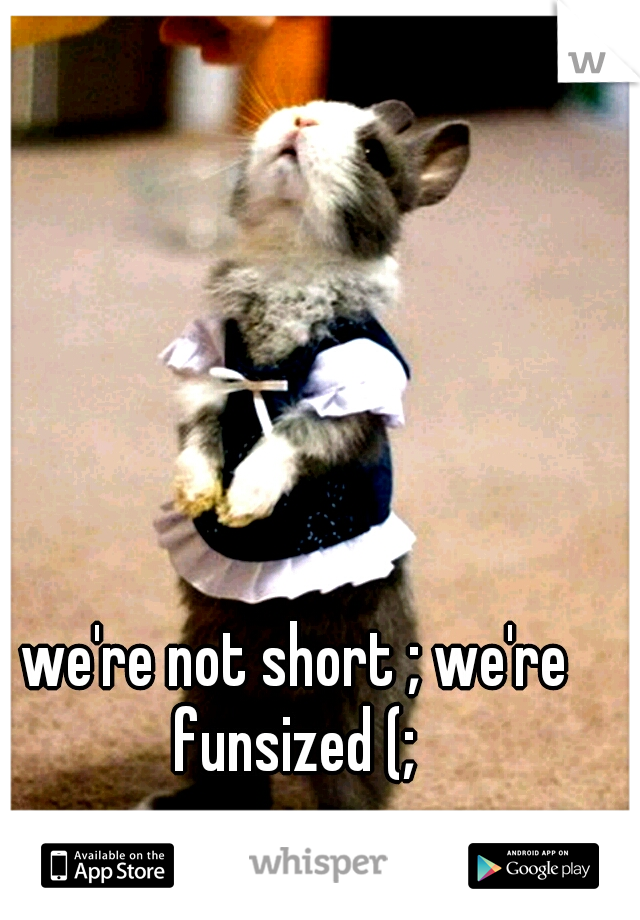 we're not short ; we're funsized (; 