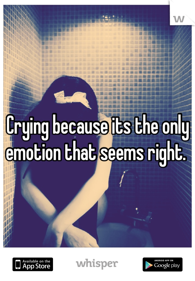 Crying because its the only emotion that seems right. 
