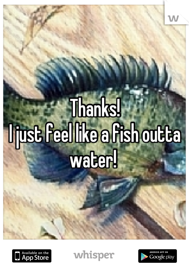 Thanks! 
I just feel like a fish outta water! 