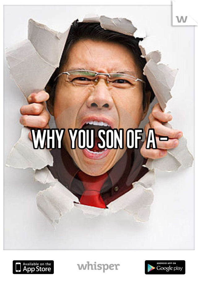 WHY YOU SON OF A -