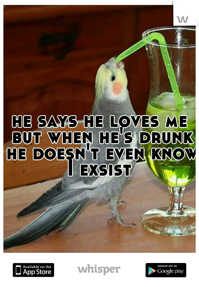 he says he loves me but when he's drunk he doesn't even know I exsist 