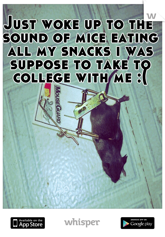 Just woke up to the sound of mice eating all my snacks i was suppose to take to college with me :(