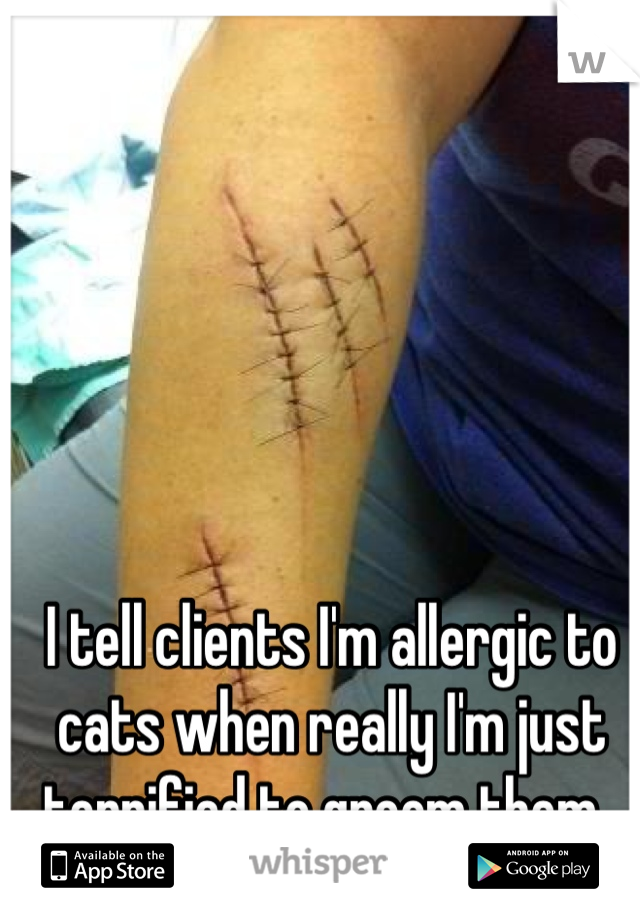 I tell clients I'm allergic to cats when really I'm just terrified to groom them. 
