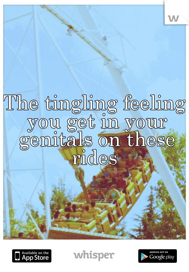 The tingling feeling you get in your genitals on these rides 
