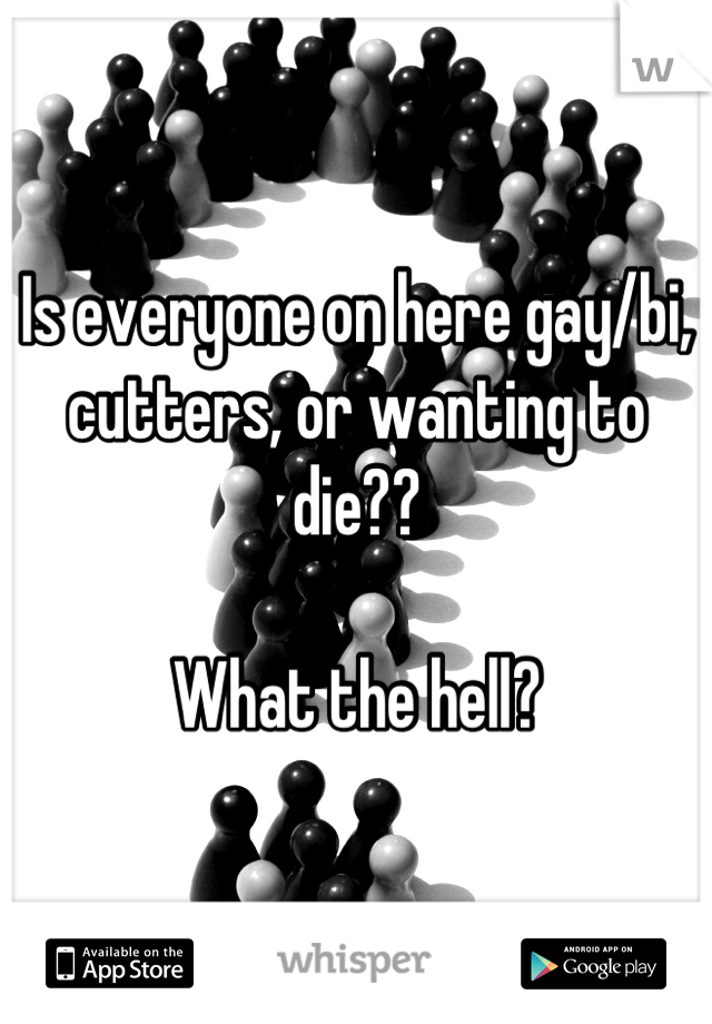 Is everyone on here gay/bi, cutters, or wanting to die?? 

What the hell?