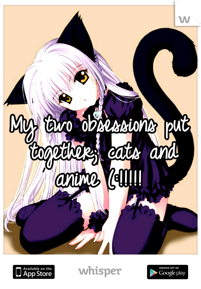 My two obsessions put together; cats and anime (:!!!!! 