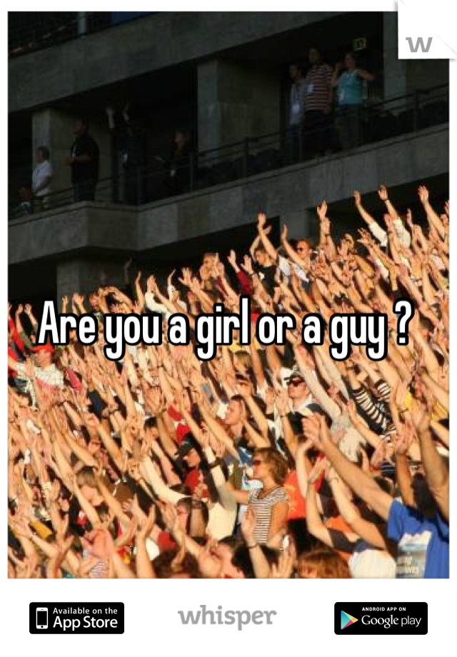 Are you a girl or a guy ? 