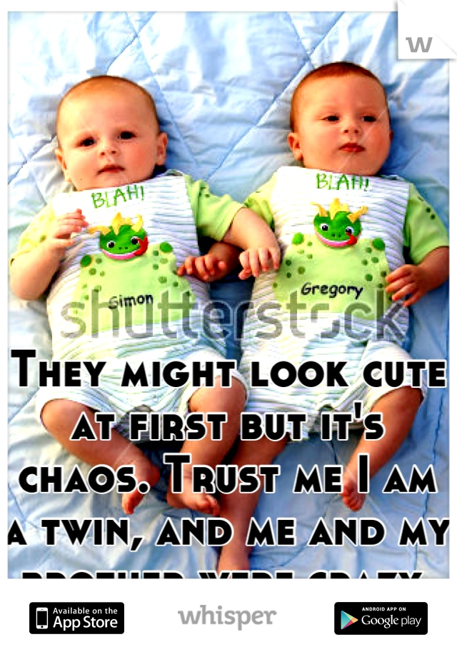 They might look cute at first but it's chaos. Trust me I am a twin, and me and my brother were crazy 