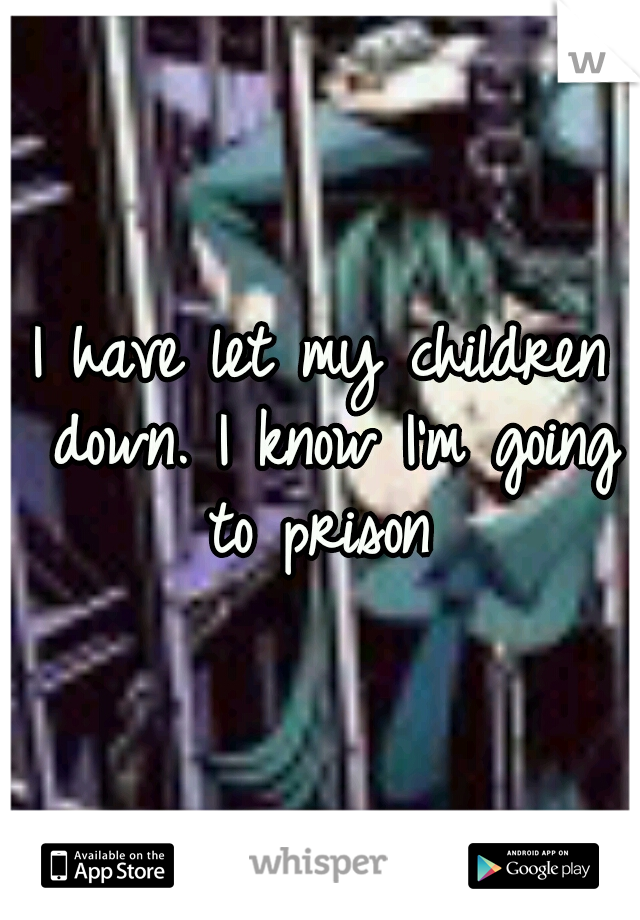 I have let my children down. I know I'm going to prison 