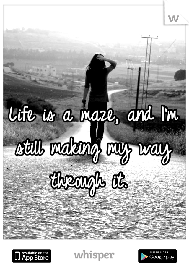 Life is a maze, and I'm still making my way through it. 