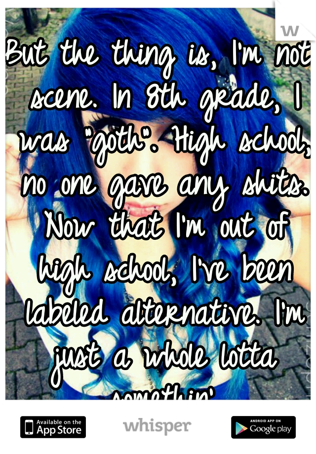 But the thing is, I'm not scene. In 8th grade, I was "goth". High school, no one gave any shits. Now that I'm out of high school, I've been labeled alternative. I'm just a whole lotta somethin'.