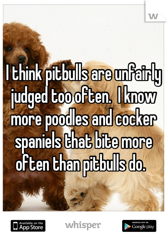 I think pitbulls are unfairly judged too often.  I know more poodles and cocker spaniels that bite more often than pitbulls do.  