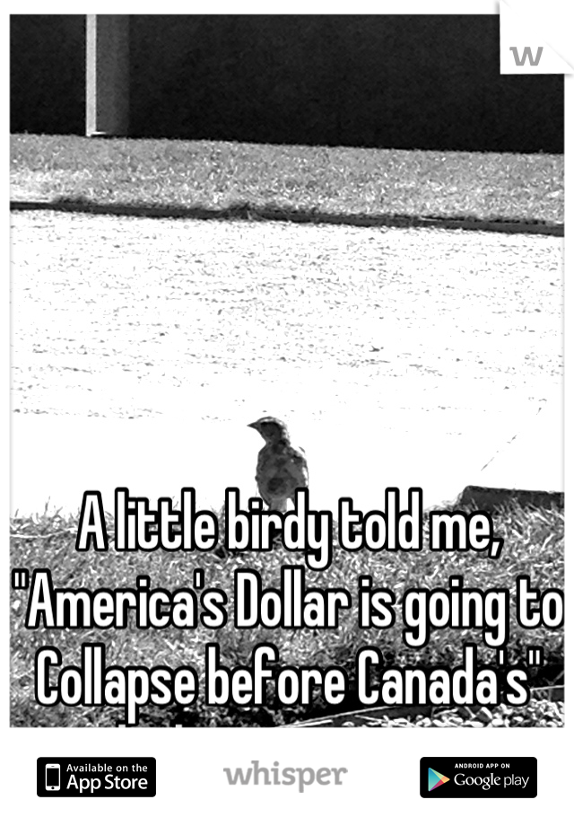A little birdy told me, "America's Dollar is going to Collapse before Canada's"
-which is pretty soon...