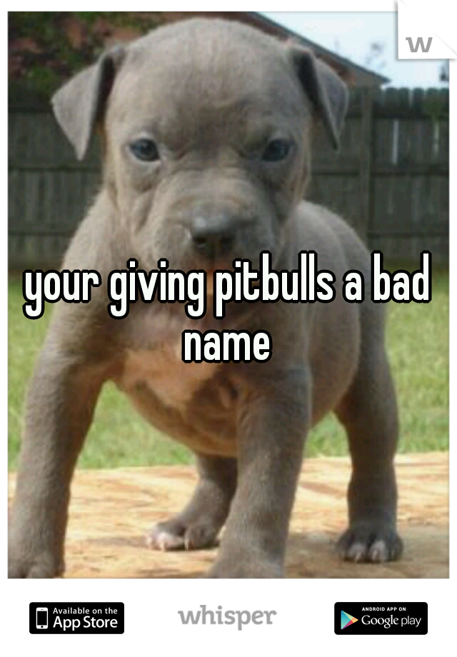 your giving pitbulls a bad name 