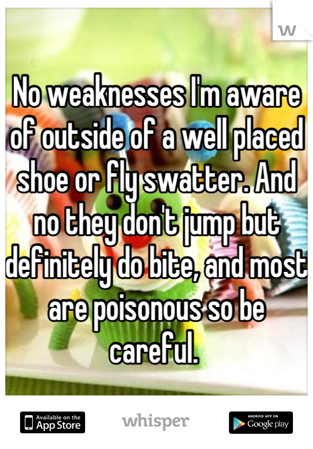 No weaknesses I'm aware of outside of a well placed shoe or fly swatter. And no they don't jump but definitely do bite, and most are poisonous so be careful. 