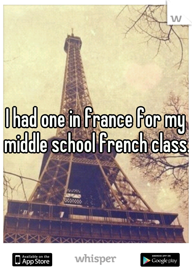 I had one in france for my middle school french class.