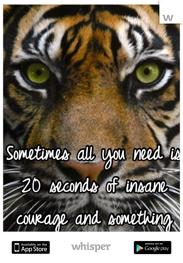 Sometimes all you need is 20 seconds of insane courage and something great will come of it