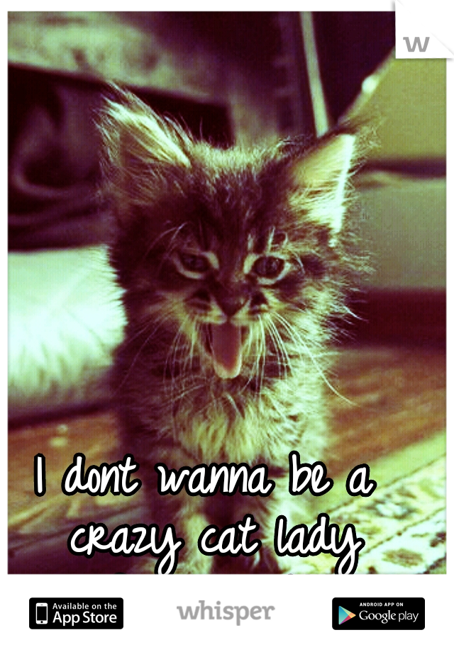 I dont wanna be a crazy cat lady forever </3