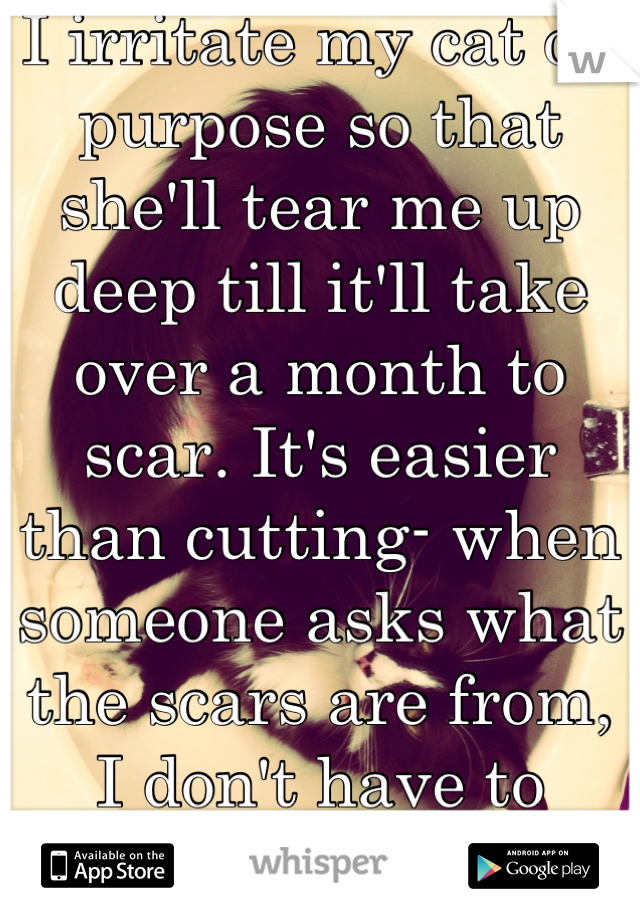 I irritate my cat on purpose so that she'll tear me up deep till it'll take over a month to scar. It's easier 
than cutting- when someone asks what the scars are from, 
I don't have to 
think of a lie.