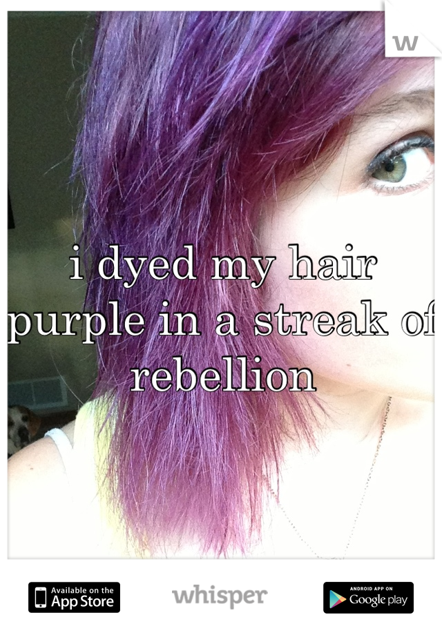 i dyed my hair purple in a streak of rebellion