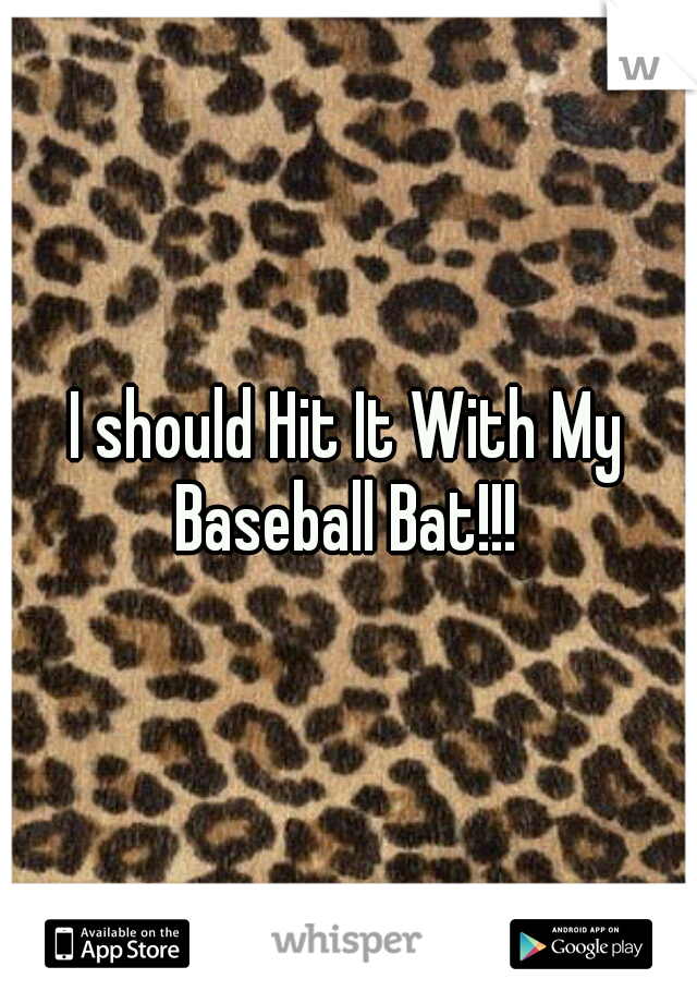 I should Hit It With My Baseball Bat!!! 