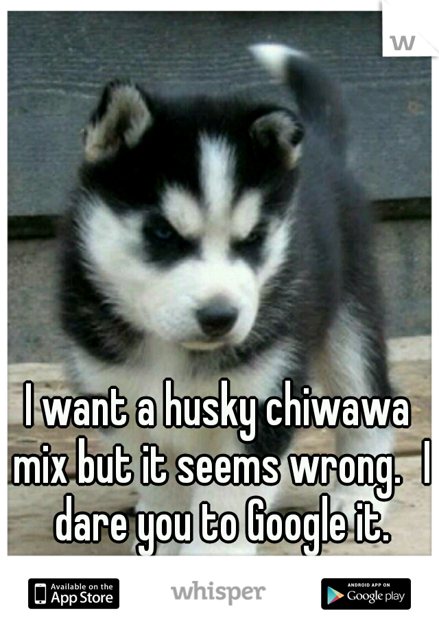 I want a husky chiwawa mix but it seems wrong.
I dare you to Google it.