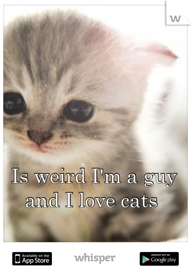 Is weird I'm a guy and I love cats 