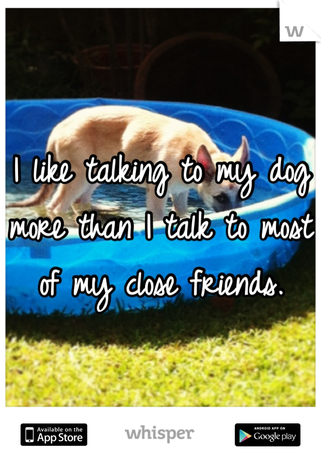 I like talking to my dog more than I talk to most of my close friends.