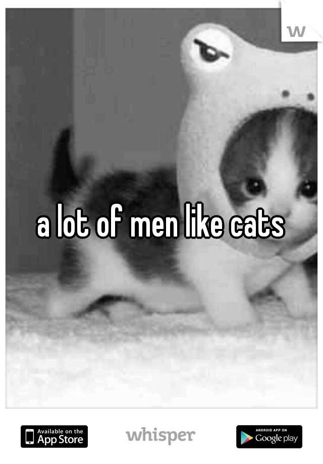 a lot of men like cats