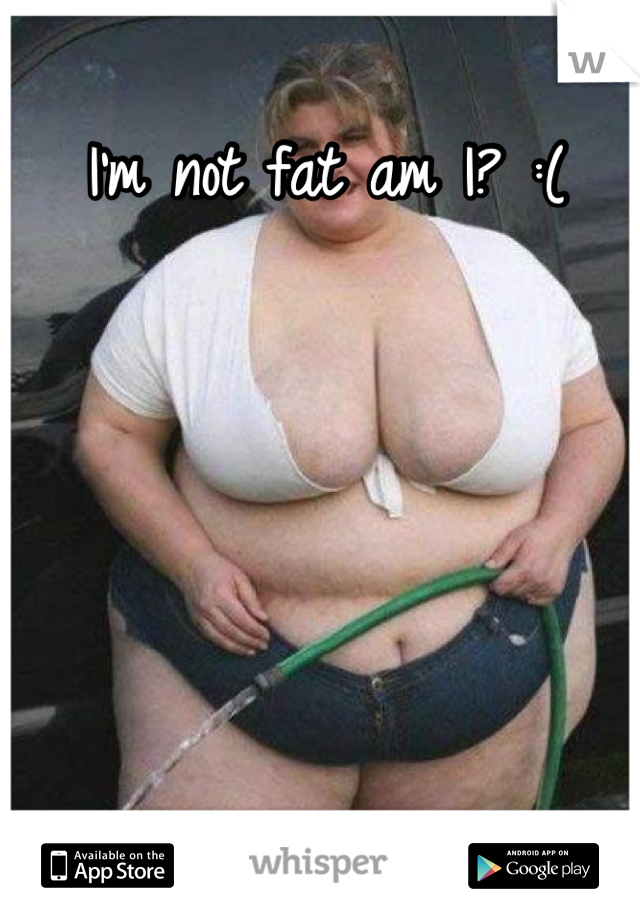 I'm not fat am I? :( 