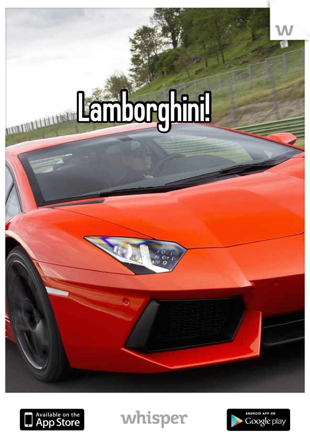 Lamborghini!