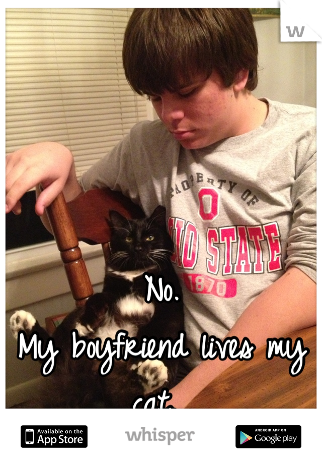 No. 
My boyfriend lives my cat. 