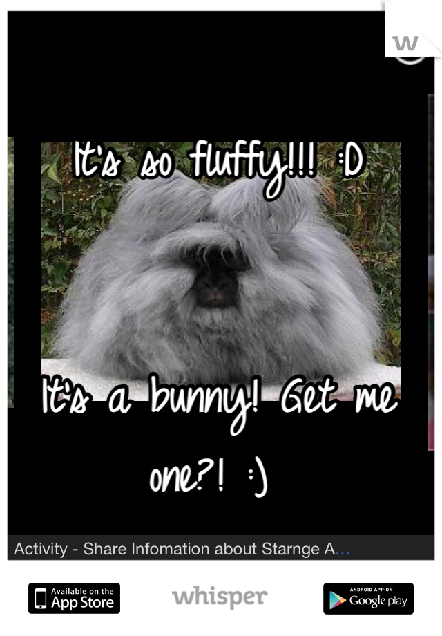 It's so fluffy!!! :D 


It's a bunny! Get me one?! :) 