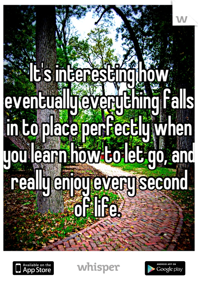 It's interesting how eventually everything falls in to place perfectly when you learn how to let go, and really enjoy every second of life. 