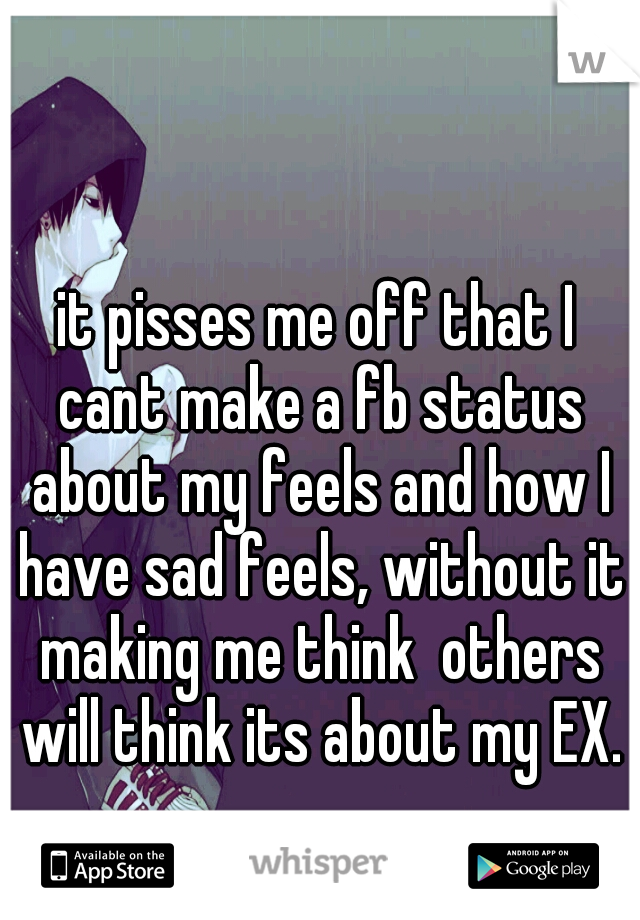 it pisses me off that I cant make a fb status about my feels and how I have sad feels, without it making me think  others will think its about my EX.
