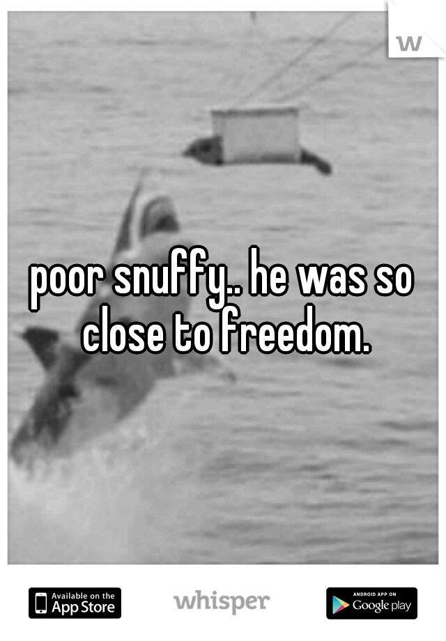 poor snuffy.. he was so close to freedom.